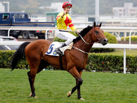 WILL IT BE A MERRY CHRISTMAS AT SHA TIN TODAY?