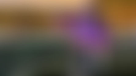 Why Hong Kong racing needs the Brazilian magic man…