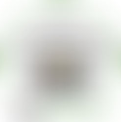 Riad Fleur d'Orient just received today the Famous Tripadvisor "Certificate Of Excellence&q