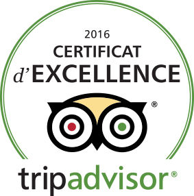 Riad Fleur d'Orient just received today the Famous Tripadvisor "Certificate Of Excellence&q