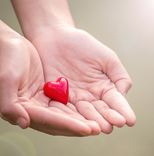 Design ohne Titel (7).png