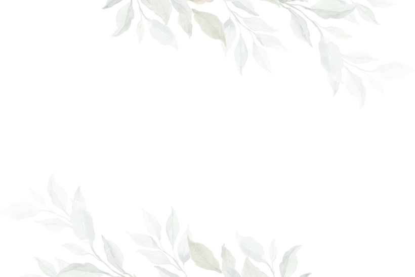 Daydreamer Photography | Design Element