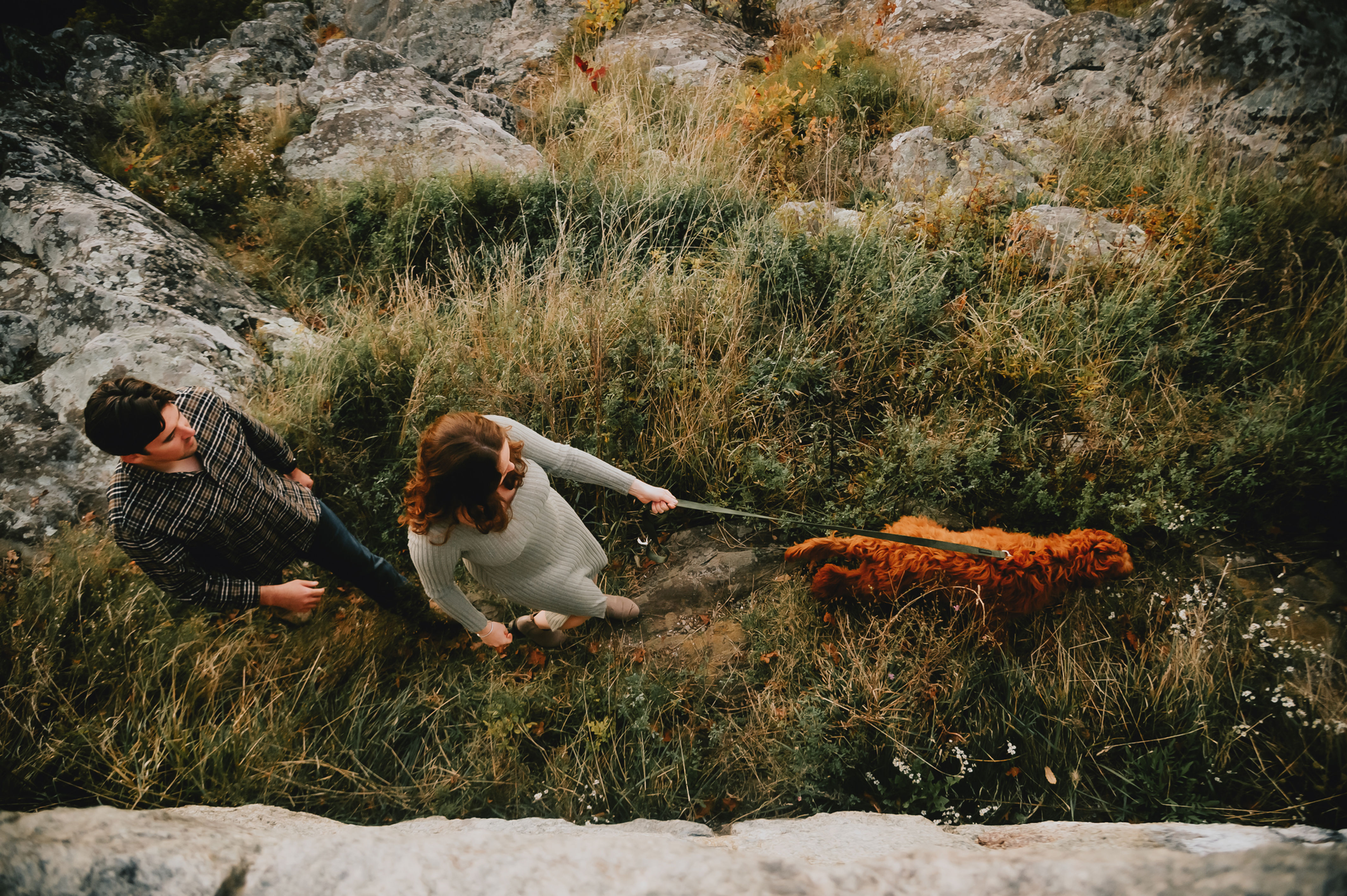 Between the Pines | Deposit Only