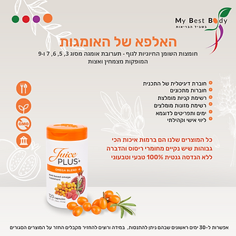 האלפא של האומגות