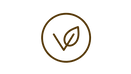 vegan