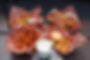 Lazy Lobster Spread 11.jpg