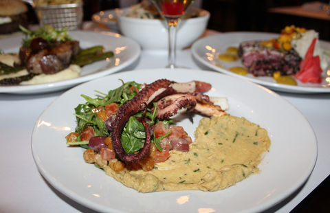 SNAPS Octopus