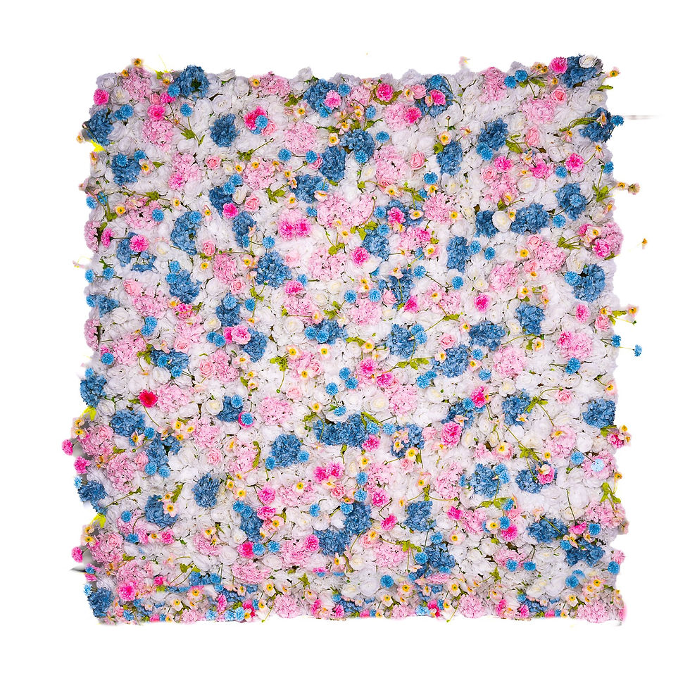 086B3E81-7F95-491D-A4E3-9B5FB6E37E3C