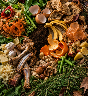 Food & Organic Waste.png