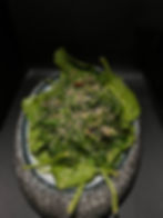 Wakame seaweed Salad