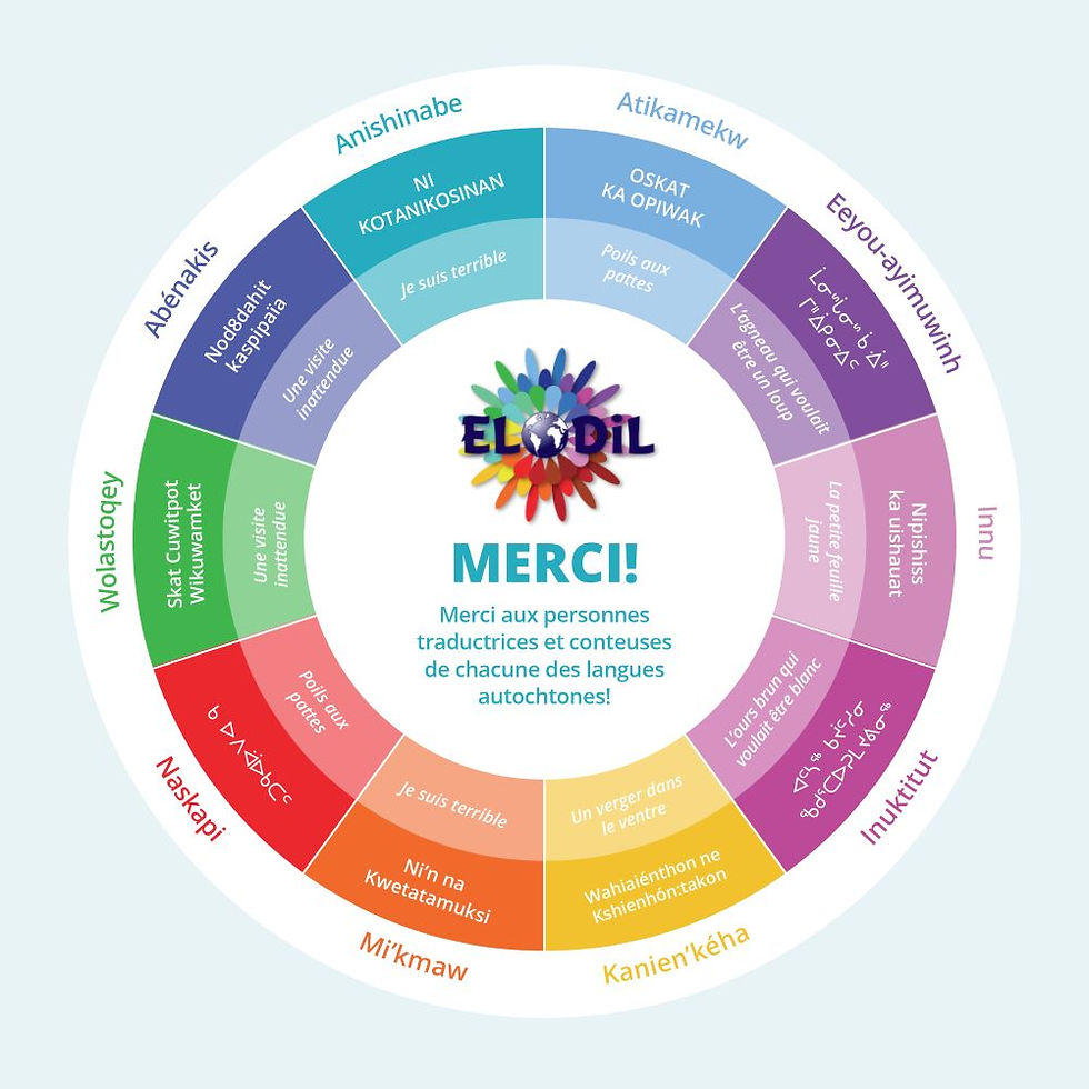 20250311_albums-jeunesse-roue-galerie1