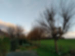 Grainville-sur-Ry - 01/2024