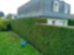 Bois-Guillaume - 10/2024