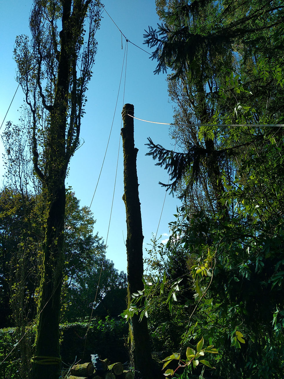 La Feuillie - 10/2024