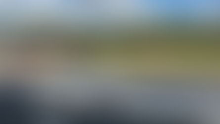 John Euliano Park - University of Central Florida (UCF)