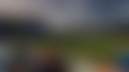 Condron Ballpark - Florida