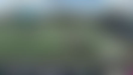 Red McEwan Field at USF Baseball Stadium - South Florida (USF)