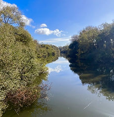 Pajaro upstream by treatment plant 2023.jpg
