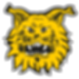 ilves.png