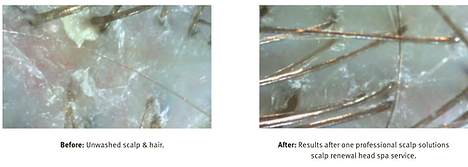 Screenshot 2025-03-04 at 10.08.27 AM.png