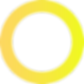 Colorful Circle