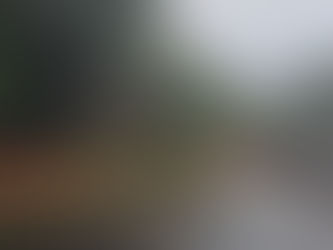 Vias bloqueadas em Gramado, na manhã do sábado, 18 de novembro