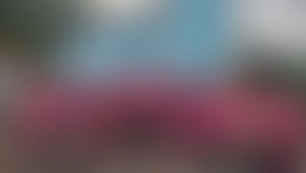 Caminhada e Corrida movimentam o interior de Gramado em alusão ao Outubro Rosa