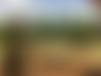 Visitando o Pampa Gaúcho