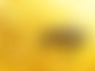 Em Gramado, criadores de abelhas sem ferrão devem fazer cadastro na Secretaria da Saúde