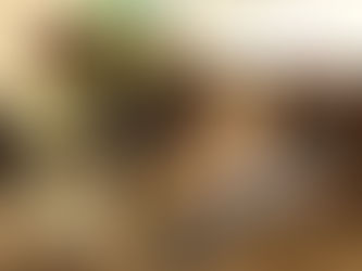 Fórum Gramado aborda temática “Desenvolvimento e Negócios”