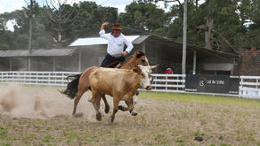 Rodeio de Canela: Provas campeiras e fandangos entre as grandes atrações que te esperam de 8 a 11 de janeiro na Serra Gaúcha