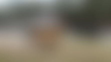 Rodeio de Canela: Provas campeiras e fandangos entre as grandes atrações que te esperam de 8 a 11 de janeiro na Serra Gaúcha