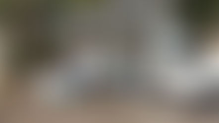 Unidade Móvel de Castração realiza trabalho descentralizado de bem-estar animal