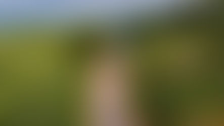 Comunidade da Linha Schneider celebra conclusão de pavimentação asfáltica