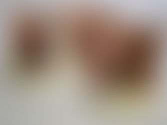 Conheça os vencedores do concurso Professor Destaque Legislativo de Gramado