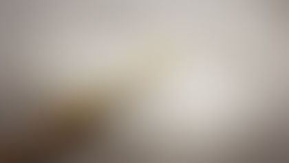 Qual a estratégia: criar ou copiar para desenvolver?