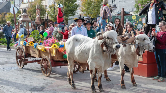 Desfile de Carretas é atração na 35ª Festa da Colônia de Gramado na tarde do sábado, 9 de maio