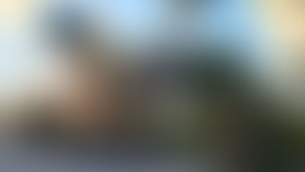 Parque Terra Mágica Florybal convida crianças e adultos para “Festival de Verão” na Serra Gaúcha