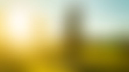 Gramado Natural confirma data da 3ª edição do encontro de pintura ao ar livre e abre inscrições para participantes