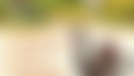 Um domingo para celebrar a multiculturalidade em Gramado