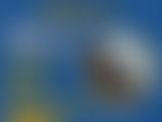 Audiência Pública sobre a venda do Hospital São Miguel acontecerá na quinta-feira, 31 de março