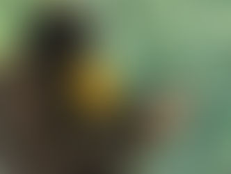 Animais do Gramadozoo ganham picolés para amenizar o calorão