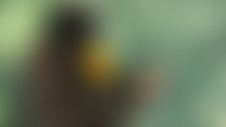 Animais do Gramadozoo ganham picolés para amenizar o calorão