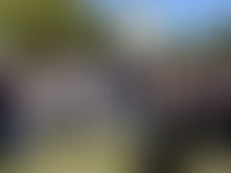 Câmara promove Gabinete Móvel no bairro Avenida Central