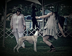 13086969_1549870525314776_45207485849791