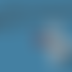 Seeing to Lead: What WWII Fighter Pilots Teach Us About Purpose and Vision