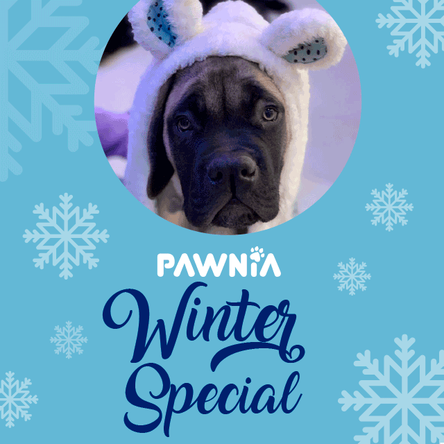 winter_special.gif