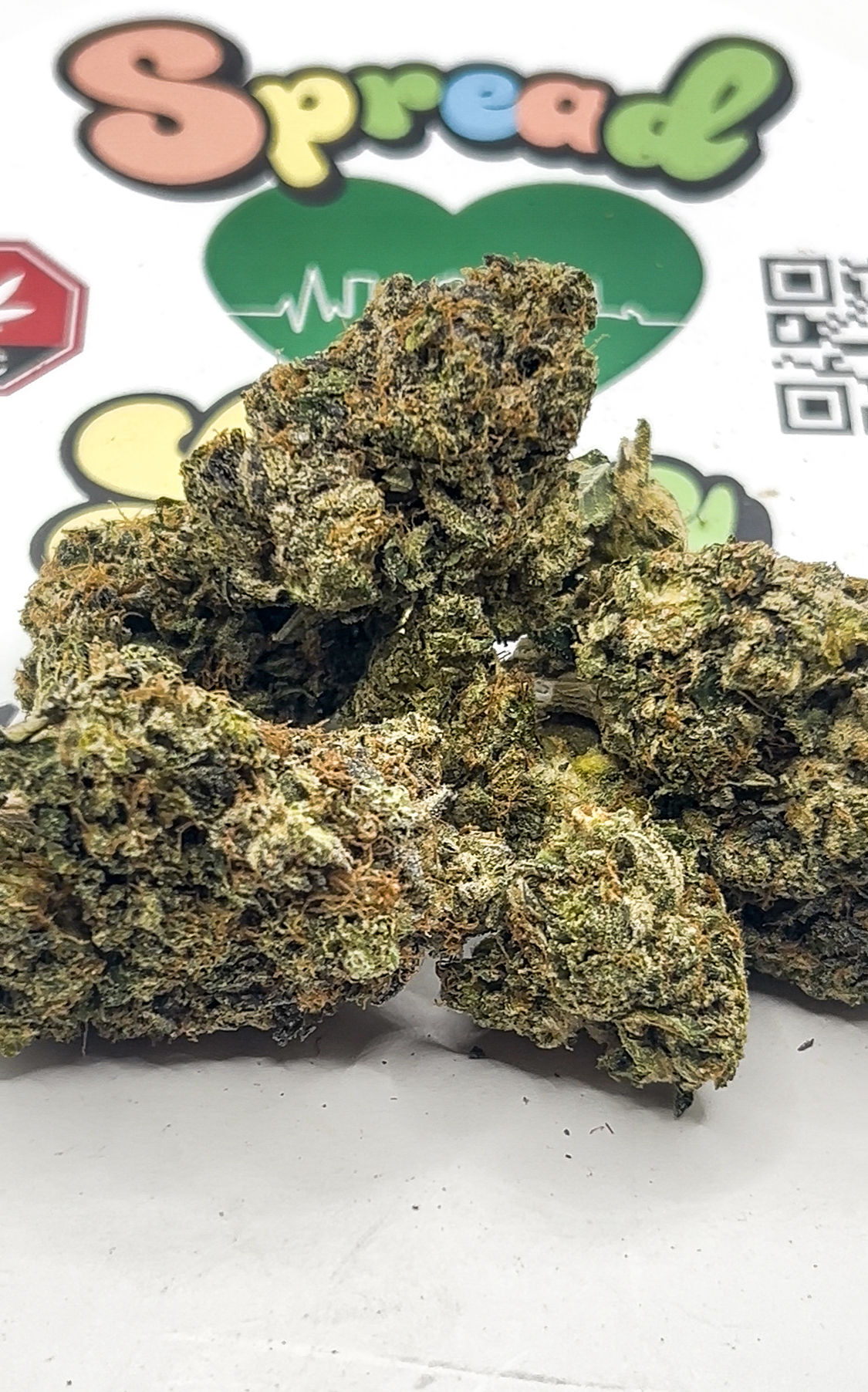 Kritical Bilbo -Heavy Indica(AAAA)(THC 32-36%)💚🔥