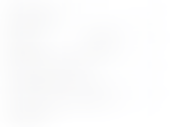 How to Create a Client Form for Travel Agents