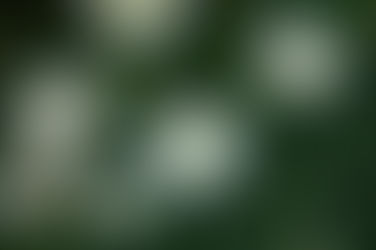 痛みが教えてくれるもの